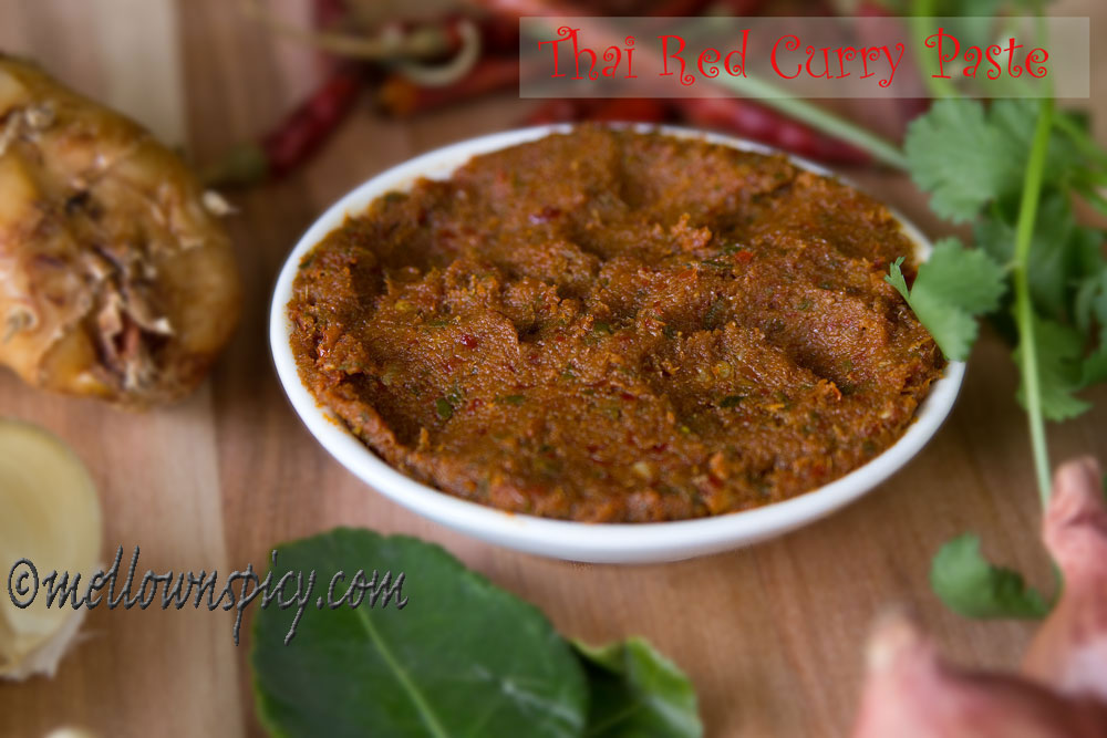 Taste of asia curry hot sale paste